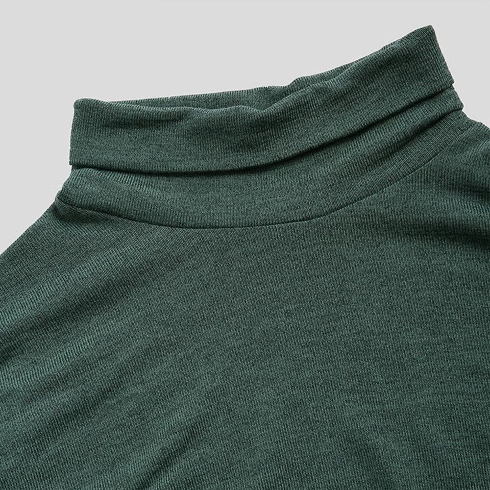 Standard Plain Turtleneck Straight Men's Sweater