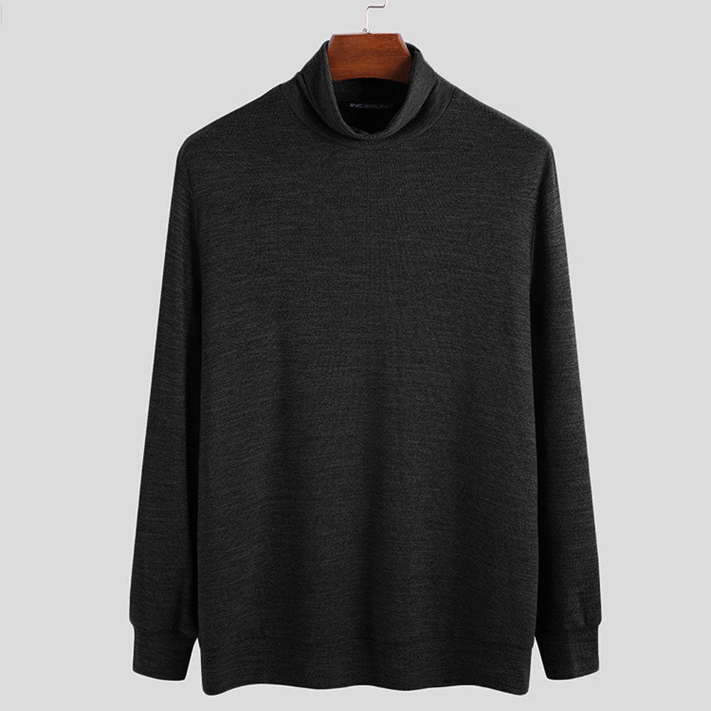 Standard Plain Turtleneck Straight Men's Sweater