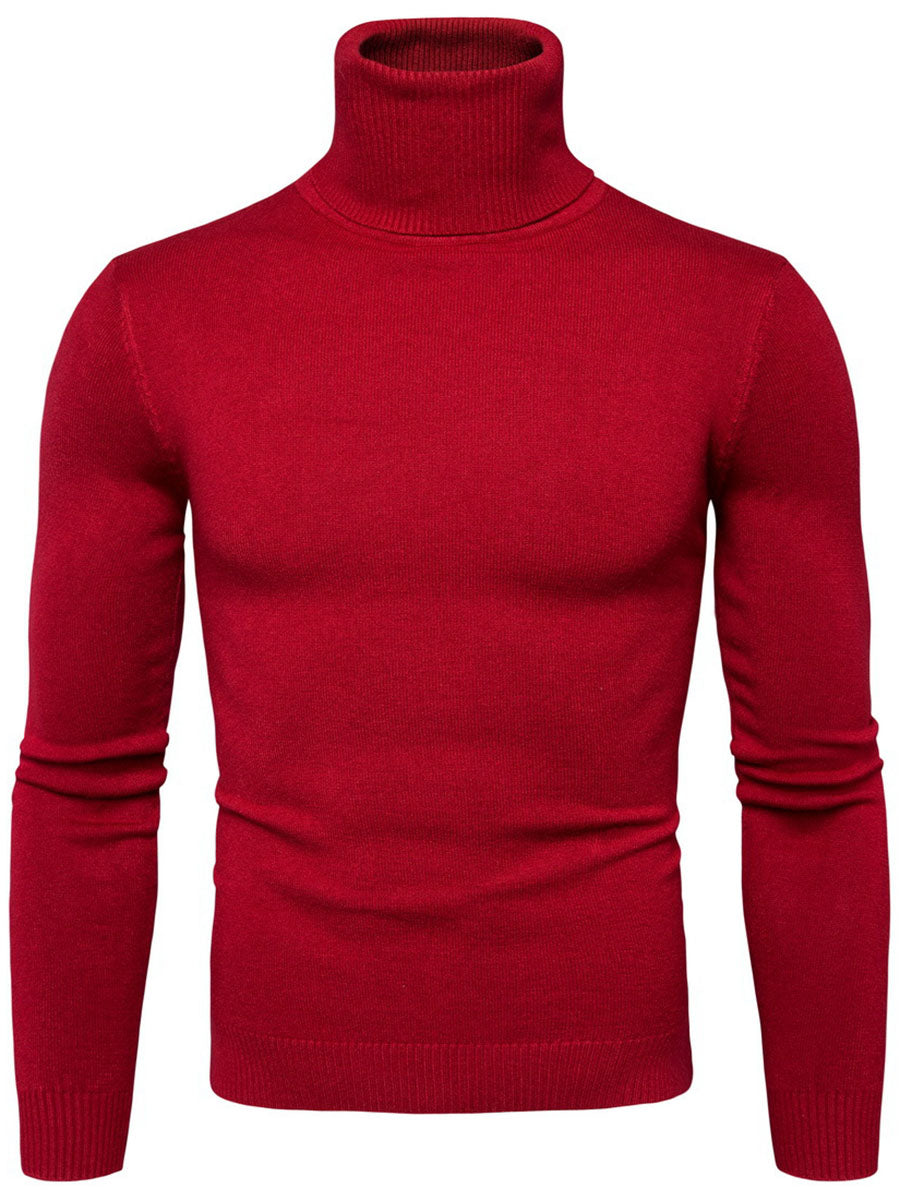 Standard Plain Turtleneck Autumn Men's Sweater