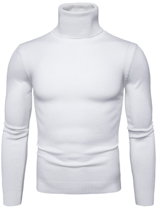 Standard Plain Turtleneck Autumn Men's Sweater