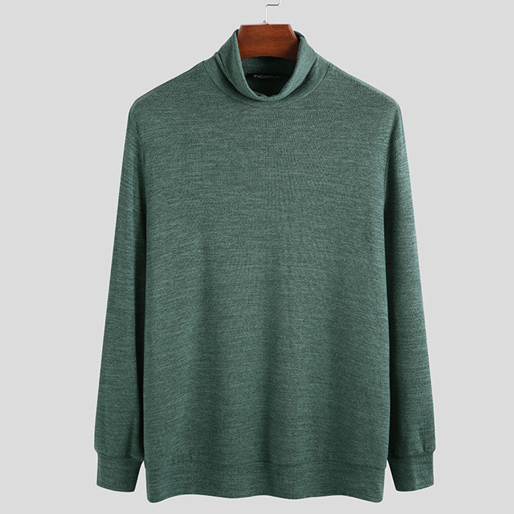 Standard Plain Turtleneck Straight Men's Sweater