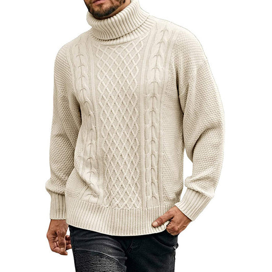 Plain Standard Turtleneck Casual Men's Sweater